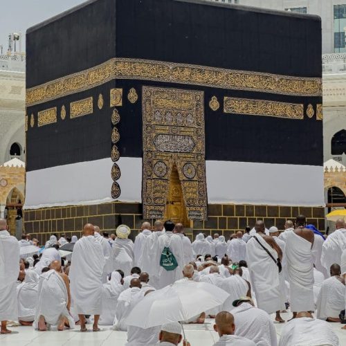 Adam Tours and Travels